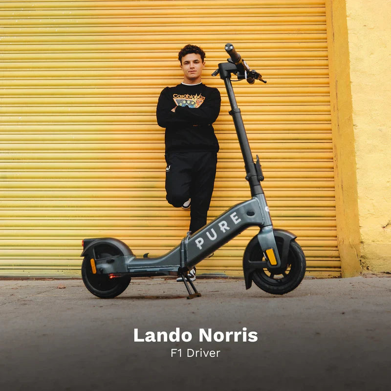 Pure Advance Flex Electric Scooter
