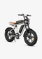 Engwe M20 electric bicycle