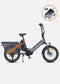 ENGWE LE20 250W Mid-drive Torque Sensor Step-Thru Cargo E-bike