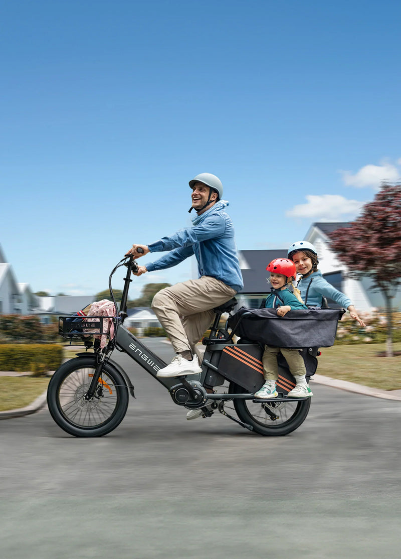 ENGWE LE20 250W Mid-drive Torque Sensor Step-Thru Cargo E-bike