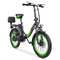 Hidoes® C1 - 750W Folding Electric Bike