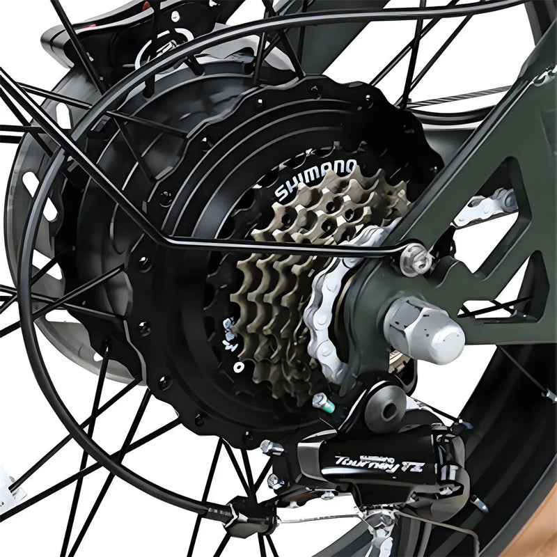 SAMEBIKE M20-III Dual Battery Fat Tyre Electric Bike